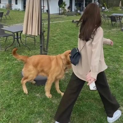 暴走狂花