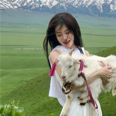 猜猜谁来吃晚餐